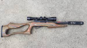 why because i can ruger 10 22