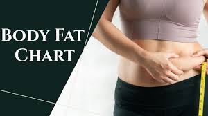 body fat percene charts