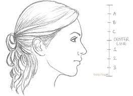 How to draw a face from the side — let's get started! How To Draw A Female Face Side View Rapidfireart