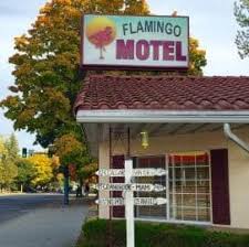 flamingo motel visit downtown coeur d