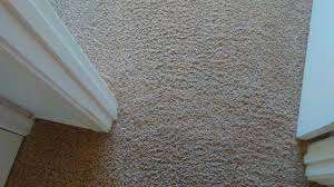 damaged carpet repair services in