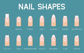 nail shapes vector art icons and