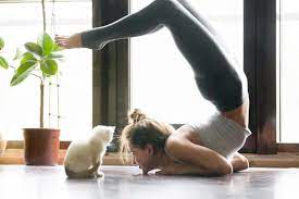 comment faire du yoga à la maison avec