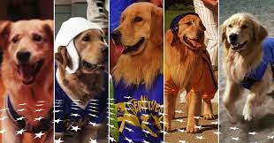 Scroll down and click to choose episode/server you want to watch. 8 Things I Learned Watching All 5 Air Bud Movies Sbnation Com