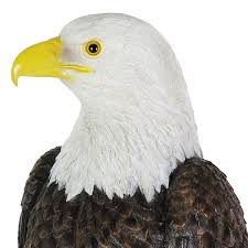 Exhart Bald Eagle On A Rock 8 In X 21