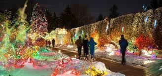 winter lights display in denver