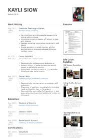 Teaching Assistant CV Example     Cover Letters and CV Examples Resume    Glamorous How To Update A Resume Examples    Interesting    