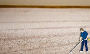 carpet cleaning steve s carpet care
