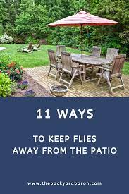 How To Get Rid Of Flies On Patio 11