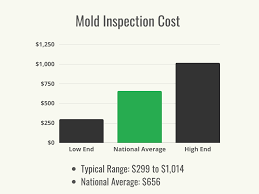 how much does mold inspection cost