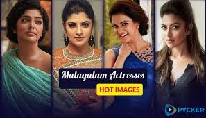Malayalam hot actress photos biography nakhat khan (born on 19 september 1970),1 better known by her stage name kushboo is an indian actress, television hostess and producer. Malayalam Actress Hot Photos Beautiful Semi Nude And Sexy Images Of Malayalam Actresses