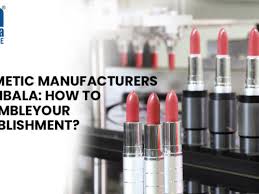 cosmetic manufacturers in india top