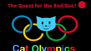 cat sitter has the cat olympics with
