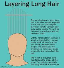 long hair diagram for a layered haircut