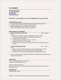 10 Skills And Abilities Resume Examples Cover Letter