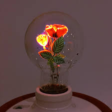 Vintage Aerolux Light Bulbs Containing Floral Filaments Forfun