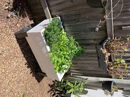 Vertical Gardens Direct Green Wall