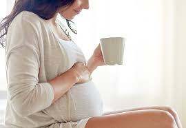 raspberry leaf tea and pregnancy