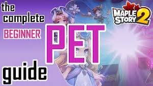 This maplestory 2 ultimate trophy guide is focused on fast, painless trophy gathering, and general trophy knowledge. Maplestory 2 The Complete Pet Guide Youtube