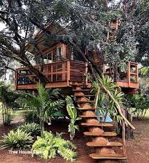 Best Tree House Designs Beautiful