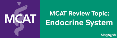 Mcat Review Topic Endocrine System Magoosh Mcat Blog