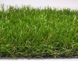 Popular varieties are floratam, raleigh, and palmetto. Artificial Turf 10 Reasons Why It Might Not Be What You Re Looking For