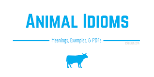 idioms list with meanings