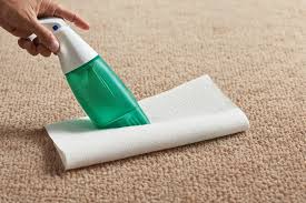 easily remove dried dog from carpet