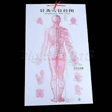 Details About 4pcs 80cm 50cm Acupuncture Meridian Chart Human Acupuncture Massage Point Tool
