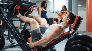 leg exercises for muscle strength