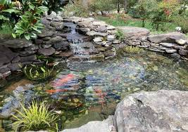 11 Beautiful Pond Landscaping Ideas To