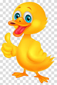 cartoon duck transpa background png