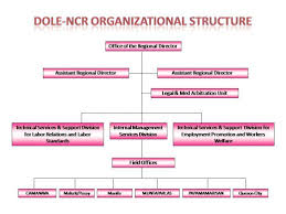 Regional Corporate Management Structure Related Keywords