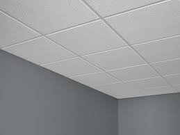 fissured basic acoustical ceiling