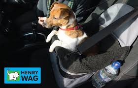 Henry Wag Pet Car Booster Seat Dog