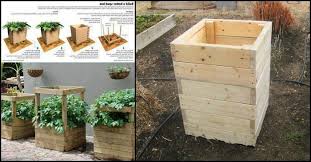 After that, the potatoes are ready to harvest. How To Build A Spud Box And Grow Potatoes In Four Square Feet Diy Projects For Everyone