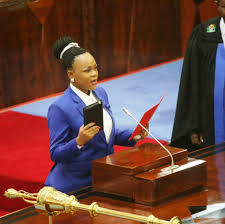 Image result for tanzania parliament