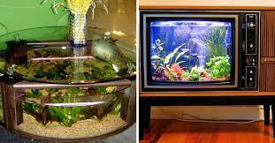 12 Incredible Home Aquariums That Will Get Your Creative Juices Flowing gambar png