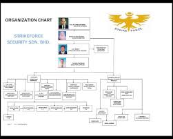 Organization Chart Thesidelineview