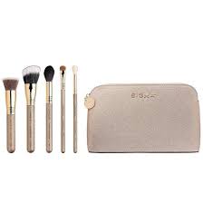 sigma beauty essential brush kit