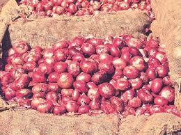 Onion Prices May Have Peaked At Rs 100 A Kg Expect A