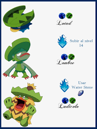 Images Of Lotad Evolution Chart Emerald Industrious Info