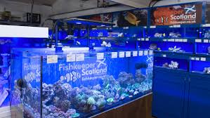 Buying live fish online from petco. Fishkeeper Scotland Opens Flagship Store In Edinburgh Practical Fishkeeping