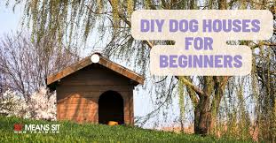 Diy Dog Houses For Beginners Sit