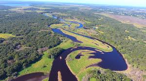 Large park with biking and hiking trails. Myakka River State Park Florida State Parks