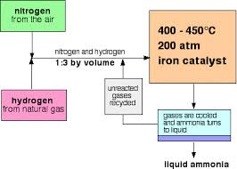 The Haber Process For The Manufacture Of Ammonia