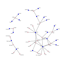 Lessons On Exponential Random Graph Modeling From Greys
