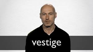 vestige definition and meaning