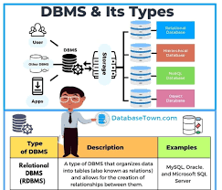 7 types of dbms with exles