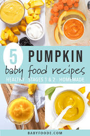 5 pumpkin puree recipes for baby se